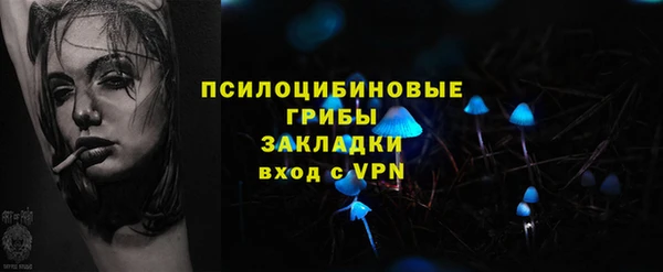 МДПВ Волосово