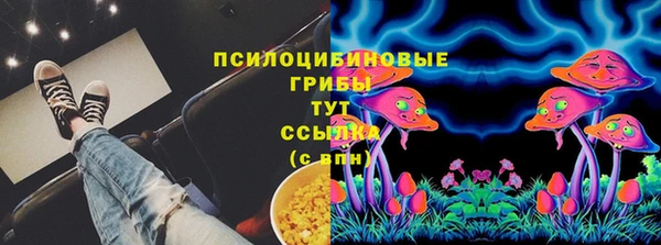 МДПВ Волосово